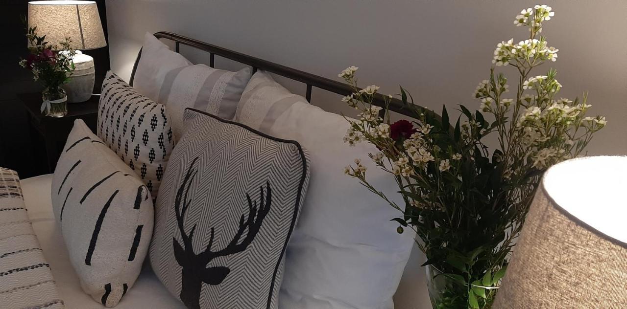 Apartament Czar-Now Czarnow  Dış mekan fotoğraf